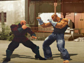 Trò chơi The Perfect Fighter