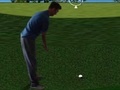 Trò chơi Flash Golf 3D