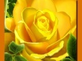 Trò chơi Yellow Roses