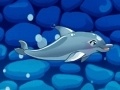 Trò chơi My Dolphin Show 5