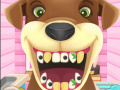 Trò chơi Animal Dentist 