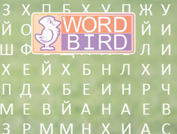 Trò chơi Lời Bird  online.