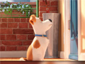 Trò chơi Hidden Letters in The Secret Life of Pets