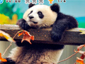 Trò chơi Animal Habitats: Find Items
