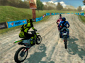Trò chơi Xcross Madness