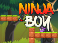 Trò chơi Ninja Boy
