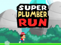 Trò chơi Super Plumber Run