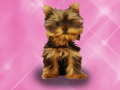 Trò chơi Wash Pets Princess Kids    