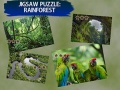 Trò chơi Jigsaw Puzzle Rain Forest 