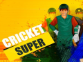 Trò chơi Super Cricket      