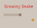 Trò chơi Growing Snake  