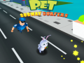 Trò chơi Pet Subway Surfers