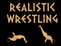 Trò chơi Realistic wrestling
