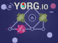 Trò chơi Yorg.io