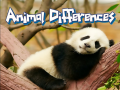 Trò chơi Animal Differences 