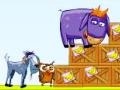 Trò chơi Donkey Sean