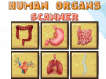 Trò chơi Human Organs Scanner