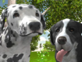 Trò chơi Dog Simulator 3d