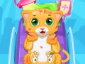 Trò chơi Little Cat Doctor