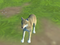 Trò chơi Wolf Simulator