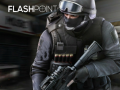 Trò chơi Flashpoint