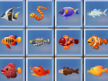 Trò chơi Find The Fish