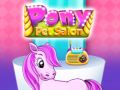 Trò chơi Pony Pet Salon