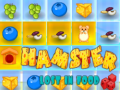 Trò chơi Hamster Lost In Food