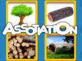Trò chơi Assotiation 