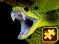 Trò chơi Snake Puzzle Challenge