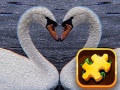 Trò chơi Swan Puzzle Challenge