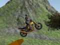 Trò chơi Dirt Bike Rider