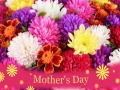 Trò chơi 2019 Mother's Day Puzzle
