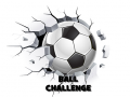 Trò chơi Ball Challenge