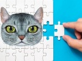 Trò chơi Abyssinian Puzzle Challenge