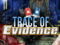 Trò chơi Trace of Evidence