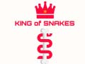 Trò chơi King Of Snakes