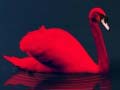Trò chơi Love Birds Puzzle