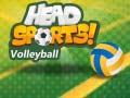 Trò chơi Head Sports Volleyball