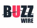 Trò chơi Buzz Wire