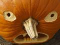 Trò chơi 5 in 1 Picture Puzzle: Halloween