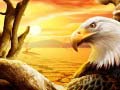 Trò chơi Eagle