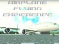 Trò chơi Airplane Flying Expierence
