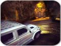 Trò chơi Scary Car Driving Simulator