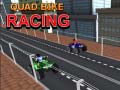 Trò chơi Quad Bike Racing