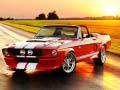Trò chơi Fancy Mustang Differences