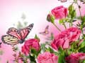 Trò chơi Butterflies Puzzle