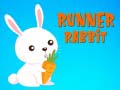 Trò chơi Runner Rabbit