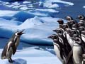 Trò chơi Penguins Slide