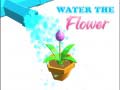 Trò chơi Water The Flower